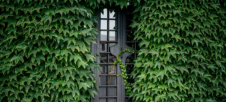 Garden Gate Repair in Saratoga, CA
