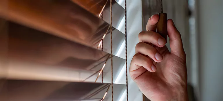 Double Roller Blinds in Saratoga, CA