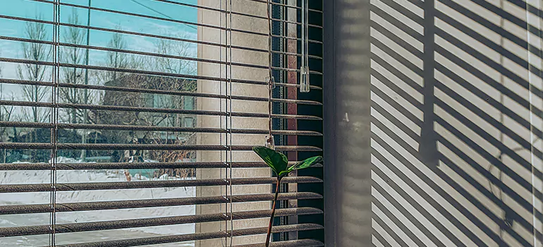 Commercial Window Blinds in Saratoga, CA