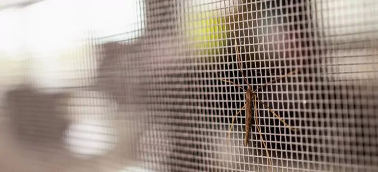 Repair Mosquito Mesh For Windows in Saratoga, CA
