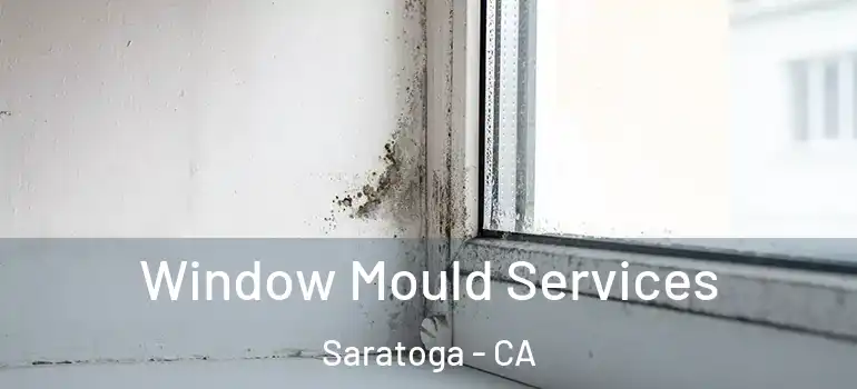  Window Mould Services Saratoga - CA